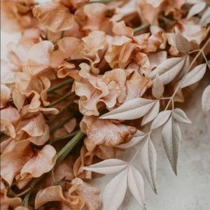 Meet your Posher, Aniyah